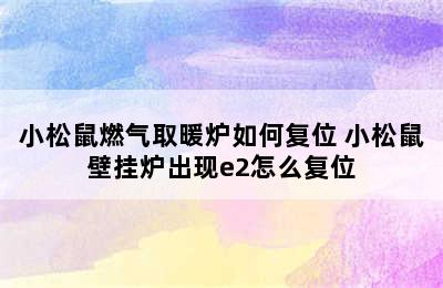 小松鼠燃气取暖炉如何复位 小松鼠壁挂炉出现e2怎么复位